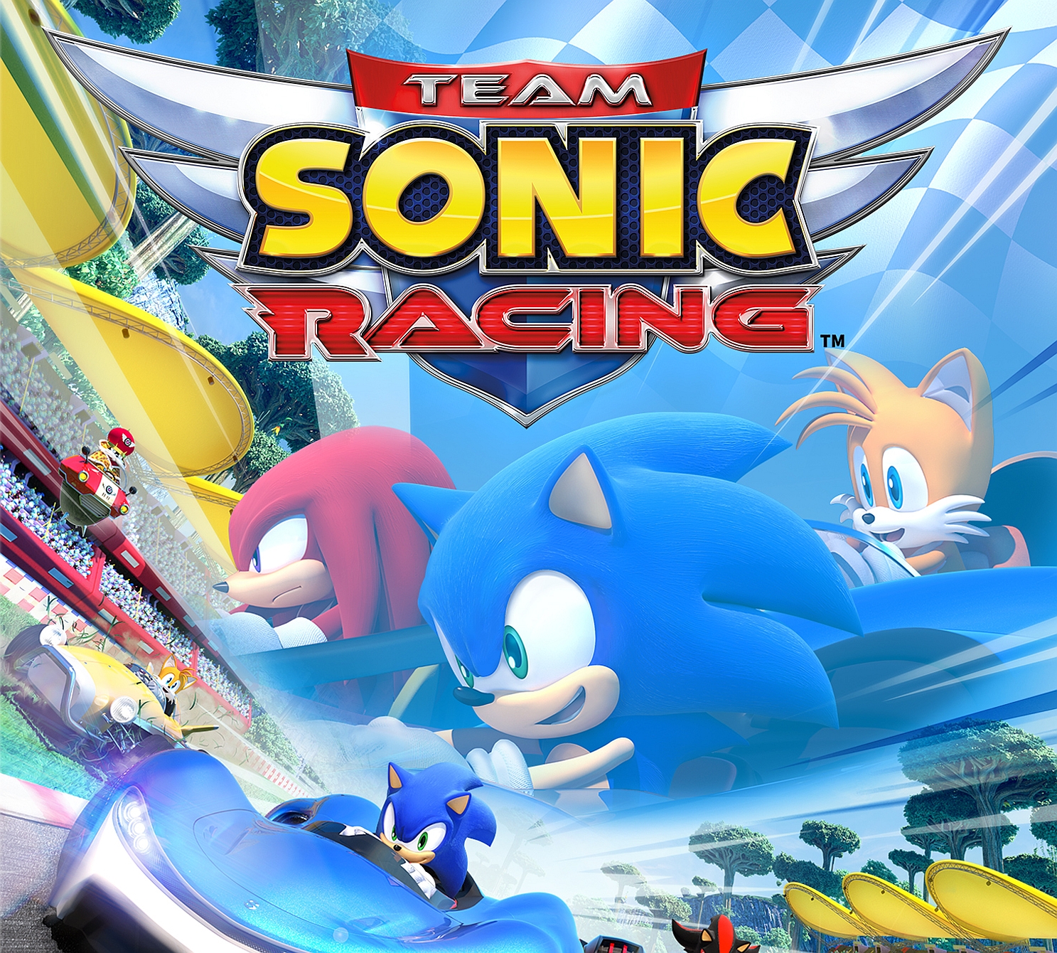 Team Sonic Racing - 1HitGames