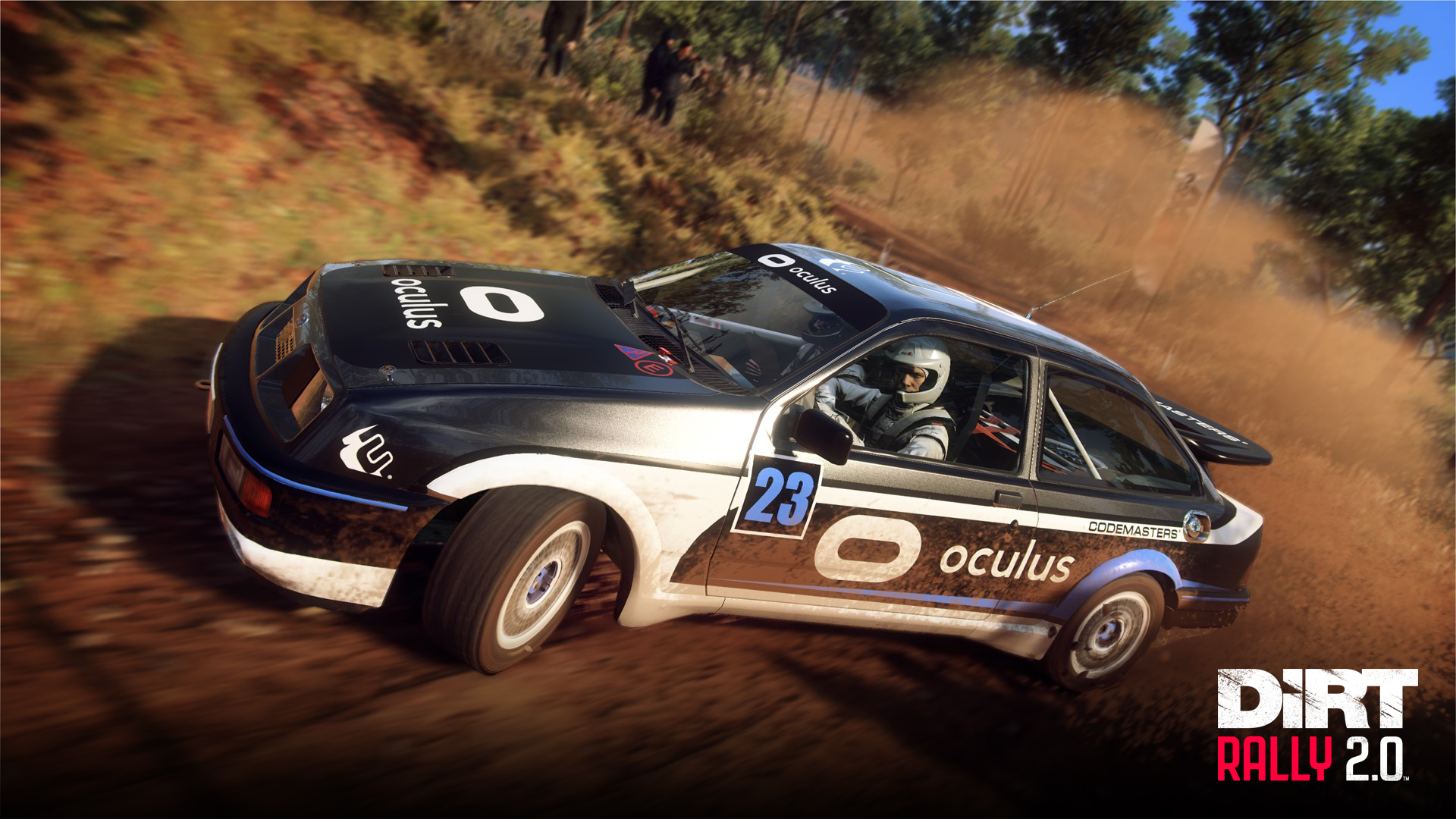 dirt rally 2.0 vr support